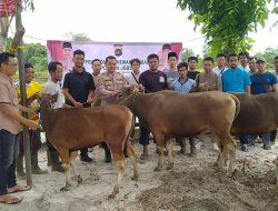 MENYAMBUT HARI IDUL ADHA 1443 H, POLSEK JEBUS MELAKSANAKAN PENYEMBELIHAN HEWAN QURBAN