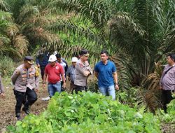 Akhirnya !!!! Terduga Pelaku Pembunuh Hafidza Berhasil Diringkus