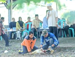 Panitia Kurban Pemda Bangka Barat Sisakan 4 Ekor Sapi Dan 5 Ekor Kambing Untuk di Sembelih