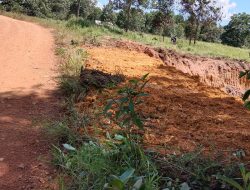 Kades Puput Himbau Tambang Liar Jarah Pinggir Jalan