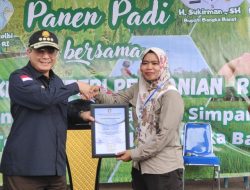 Wakil Menteri Pertanian RI, Panen Padi Tahun Ini di Kabupaten Bangka Barat