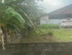 Pesek Sempat Center Disebut Sebagai Seorang Kolektor Timah, Hingga Kini Masih Aktif 