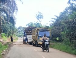 Jalan Bukit Damai Dusun Petar Rusak Parah, Saini : Semoga Ada Perhatian Khusus Dari Pemerintahan Daerah dan Wakil Rakyat