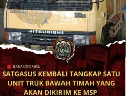 Baru Setengah Jalan Menuju Ke MSP, Satu Unit Truk 3 Ton Bijih Timah di Amankan Satgasus