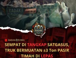 Hanya 9 Jam Diamankan Bijih Timah 3 Ton Dilepas Satgasus 