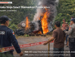 Sempat Jadi Amukan Massa Pelaku Pencuri Sawit Ditangkap Polisi